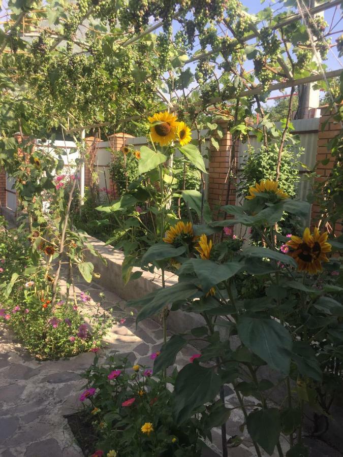 Apartamento Oasis Aspindza Exterior foto