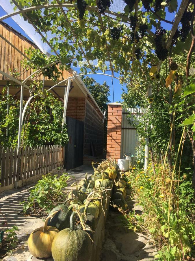 Apartamento Oasis Aspindza Exterior foto